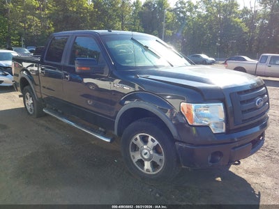 2010 Ford F-150