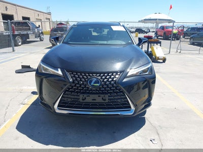LEXUS UX 250H