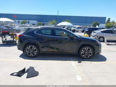 LEXUS UX 250H