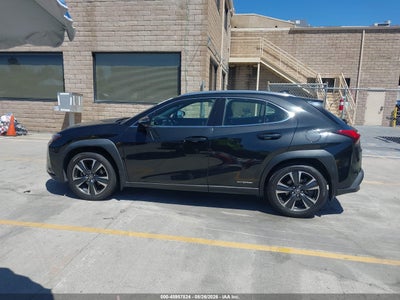 LEXUS UX 250H