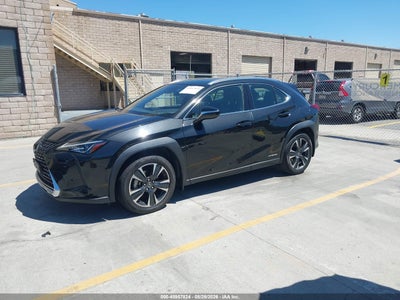 LEXUS UX 250H