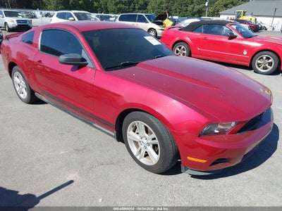 2010 Ford Mustang