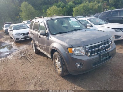 2010 Ford Escape