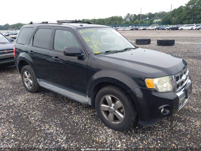 2009 Ford Escape