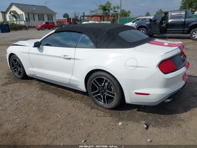 FORD MUSTANG