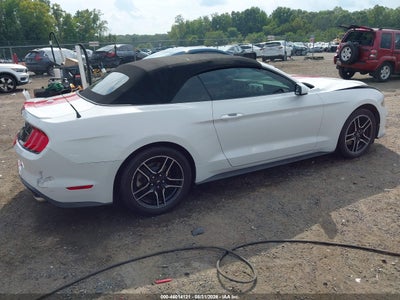 FORD MUSTANG