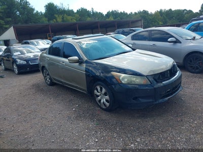 2010 Honda Accord