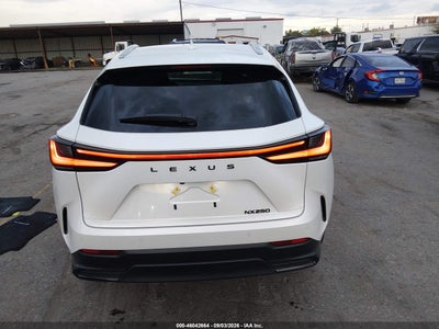 LEXUS NX 250