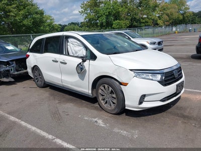 HONDA ODYSSEY