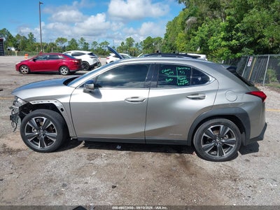 LEXUS UX 250H