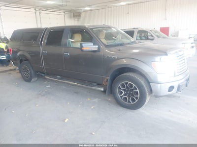 2010 Ford F-150