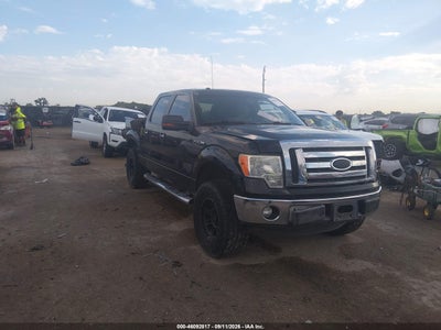 2011 FORD F-150 XLT