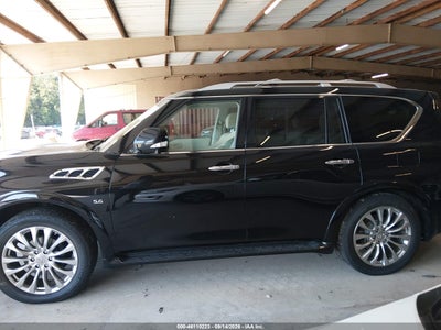INFINITI QX80