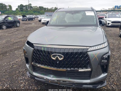 INFINITI QX80
