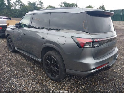 INFINITI QX80