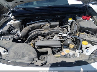 SUBARU OUTBACK