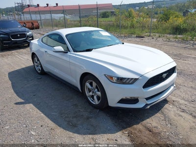 FORD MUSTANG