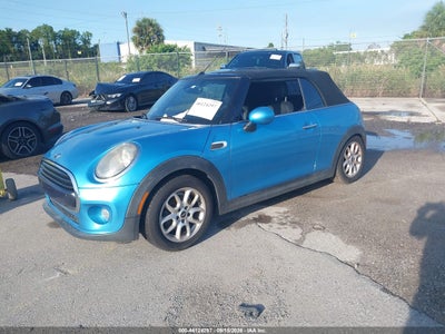 MINI CONVERTIBLE