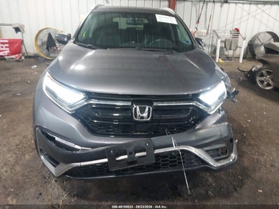 Мініатюра 13