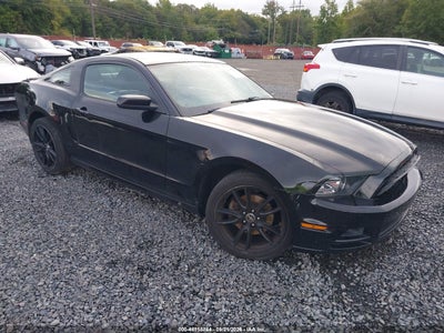 2014 Ford Mustang V6