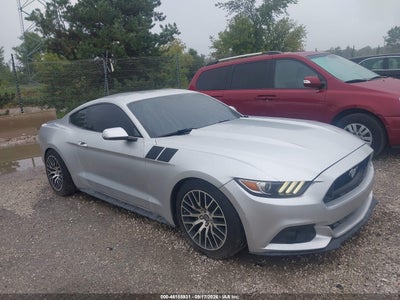 FORD MUSTANG