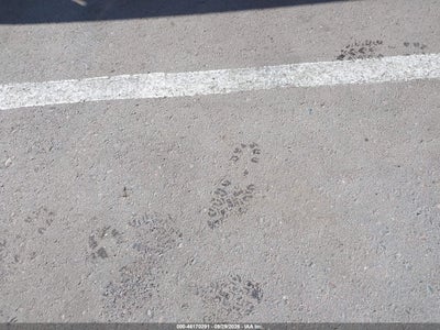Мініатюра 12