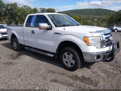 2009 FORD F-150 STX/XL/XLT