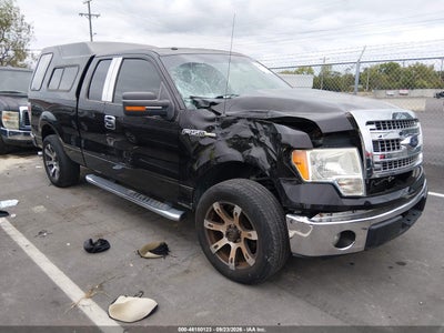 2013 FORD F-150 XLT