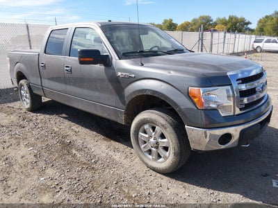 2013 FORD F-150 XLT
