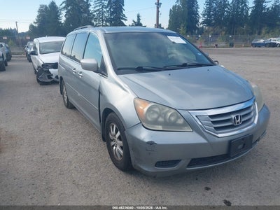 5FNRL3H44AB004353 HONDA ODYSSEY Photo 1