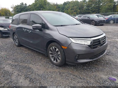 2024 HONDA ODISEA EX-L