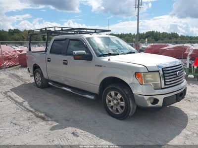 2010 Ford F-150 FX2 Sport/Harley-Davidson/King Ranch/Lariat/Platinum/XL/XLT
