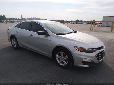 2019 CHEVROLET MALIBU
