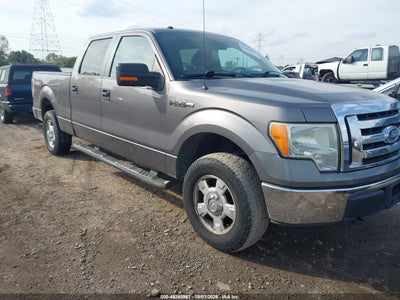 2010 FORD F-150 FX4/HARLEY-DAVIDSON/KING RANCH/LARIAT/PLATINUM/XL/XLT