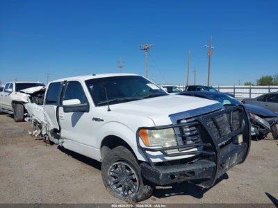 2010 FORD F-150 XL/XLT