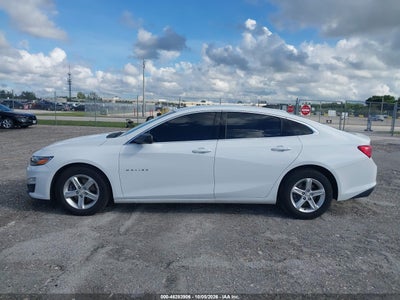 2019 CHEVROLET MALIBU 14