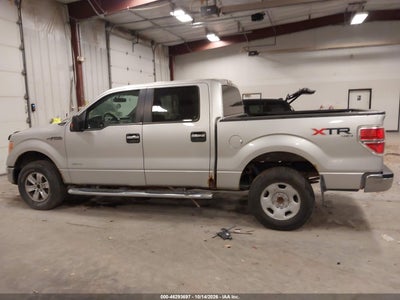 2014 FORD F-150 14