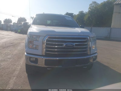 2015 FORD F-150 12