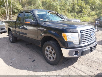 2010 Ford F-150 FX4/Lariat/XL/XLT