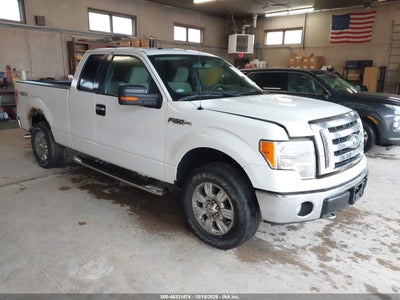 2009 FORD F-150 STX/XL/XLT
