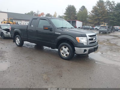 2013 Ford F-150 XLT
