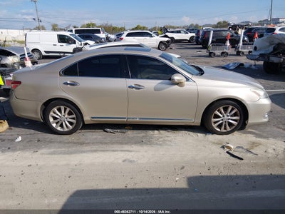 Thumbnail 12