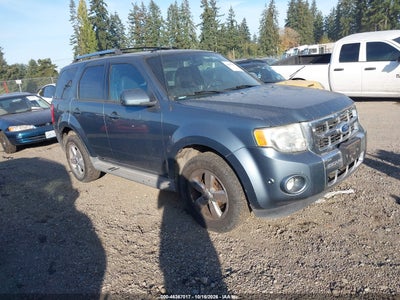 2010 FORD ESCAPE LIMITED