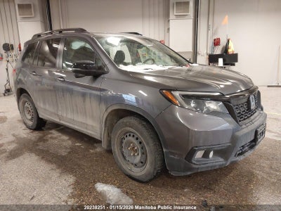 5FNYF8H21LB501362 HONDA PASSPORT Photo 1