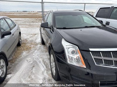 3GYFNDEY8AS604319 CADILLAC SRX Photo 1