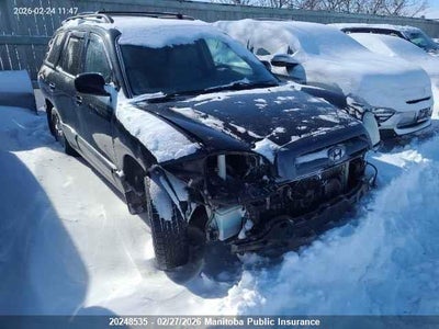 KM8SB73D66U097955 HYUNDAI SANTA FE Photo 1