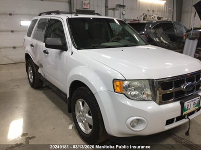 1FMCU9DG0BKB54983 FORD ESCAPE XLT V6 Photo 1