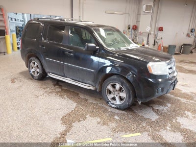 5FNYF4H20BB507046 HONDA PILOT Photo 1