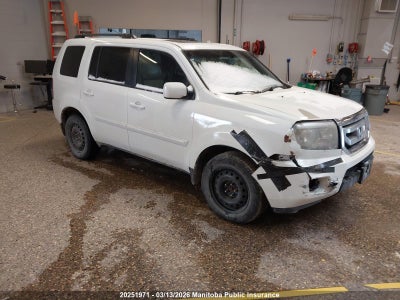 5FNYF4H54BB506668 HONDA PILOT Photo 1