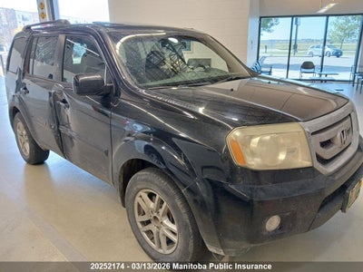 5FNYF4H56BB501343 HONDA PILOT EX-L Photo 1